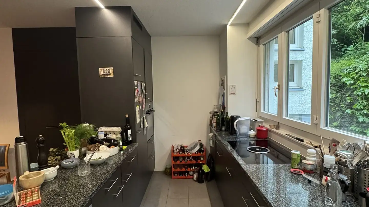 Chambre à louer - Rebbergstrasse 42, 8102 Oberengstringen - Photo 4