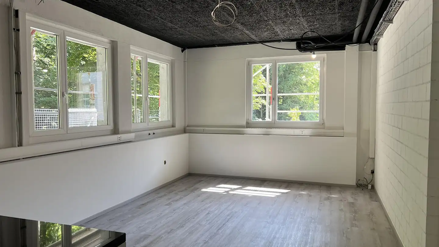 Studio in affitto - Diebis 45, 8143 Stallikon - Foto 3