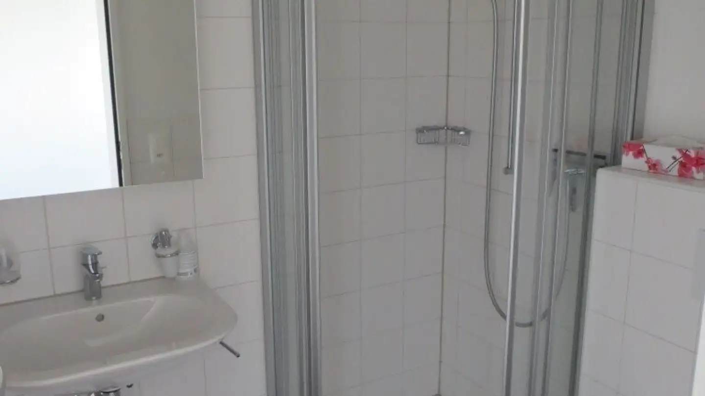 Studio in affitto - Burgfeldermattweg 13, 4123 Allschwil - Photo 4