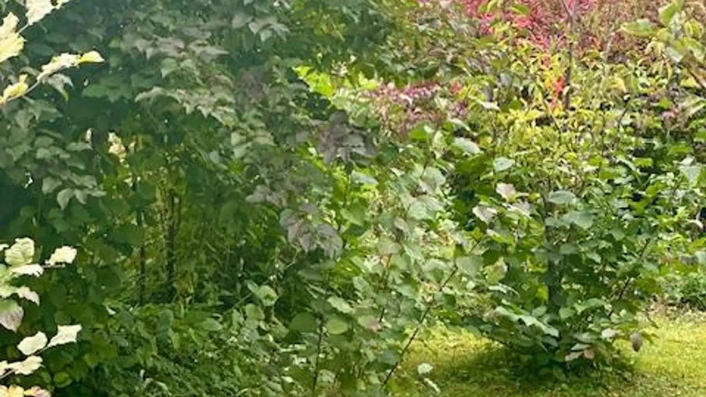 Appartamento in affitto - Chartreusestrasse 18, 3626 Hünibach - Foto 3