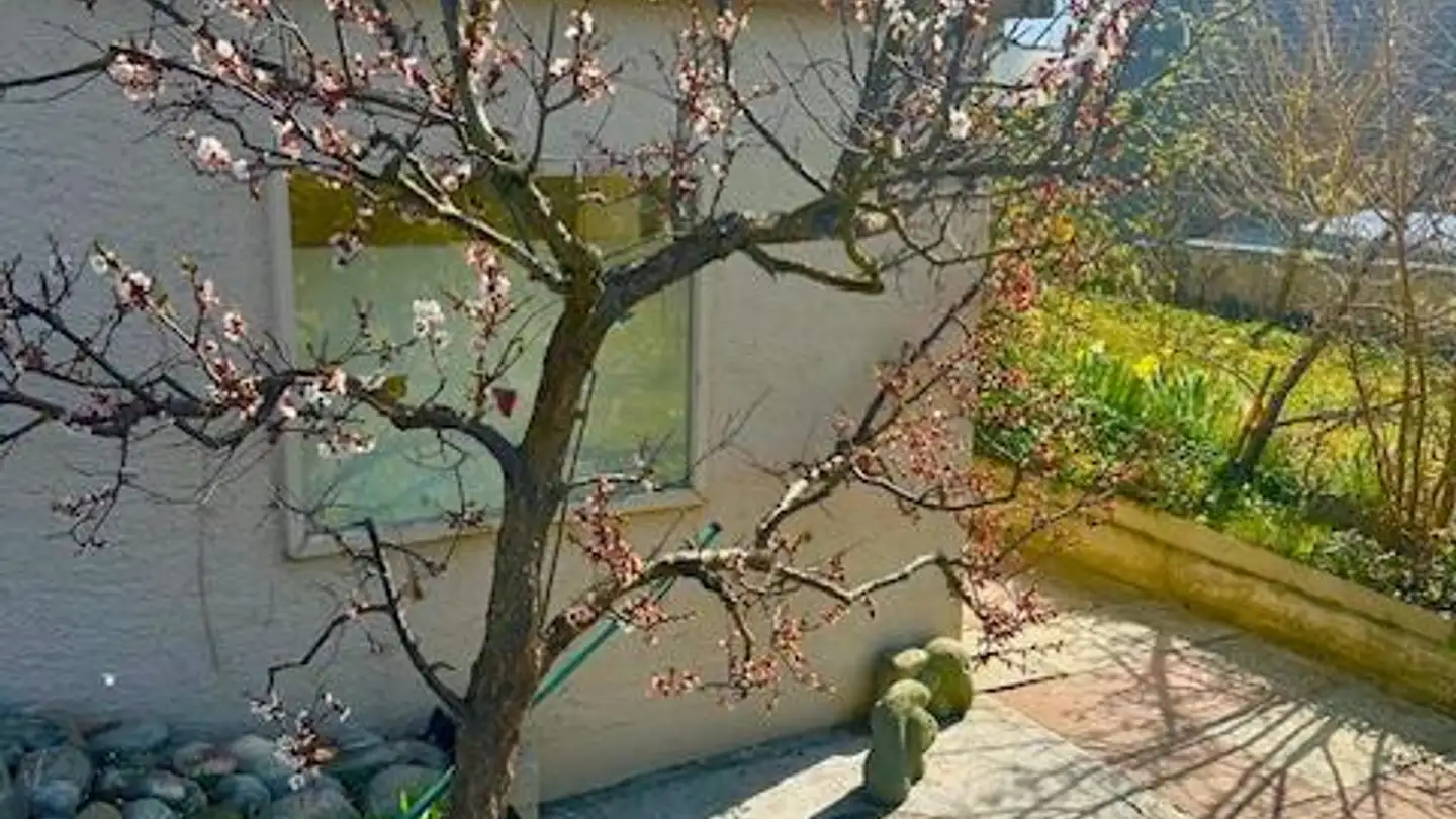 Appartamento in affitto - Chartreusestrasse 18, 3626 Hünibach - Foto 4