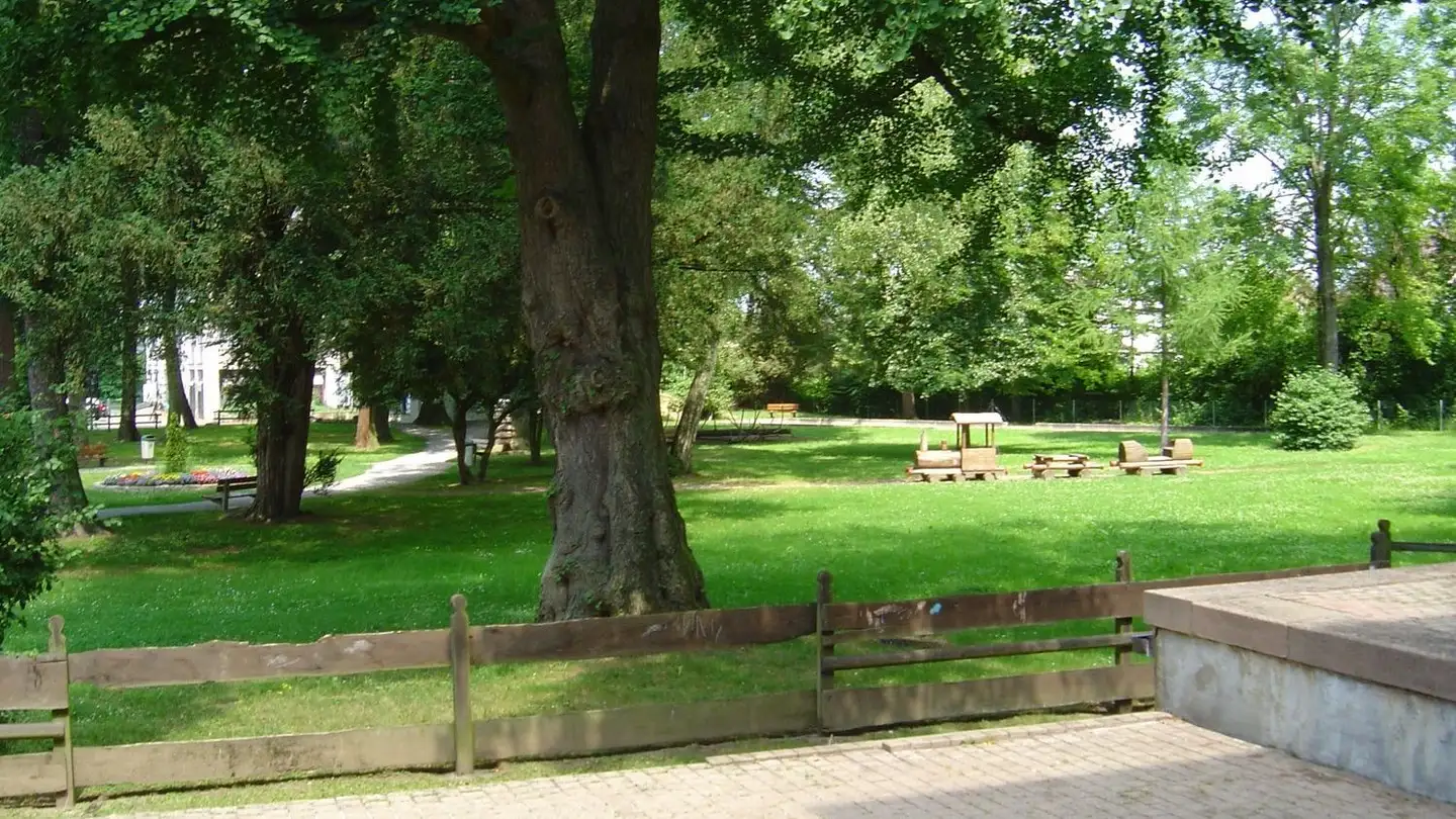 Apartment for rent - Hauptstrasse 58, 4313 Möhlin - Photo 2