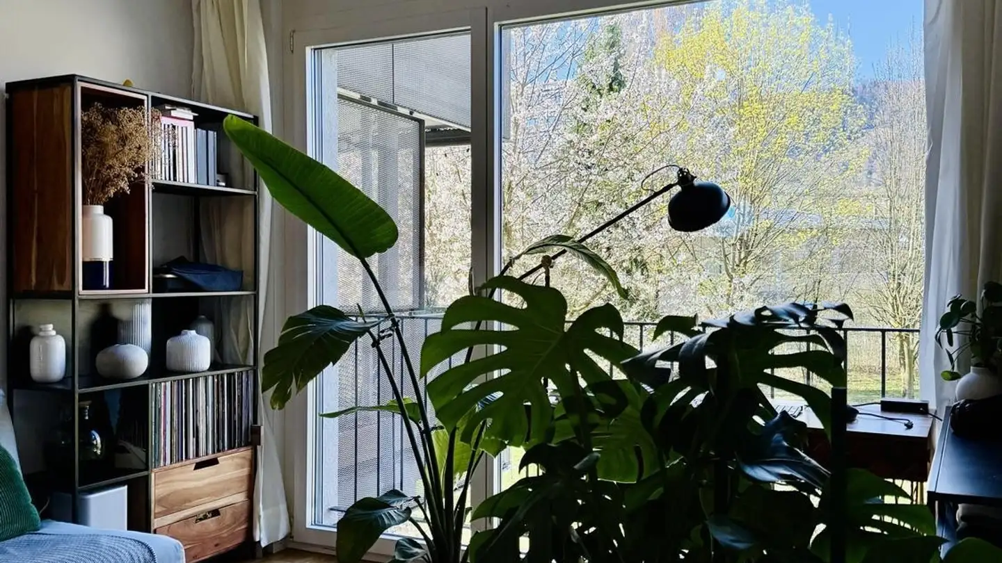 Chambre à louer - 8055 Zürich
