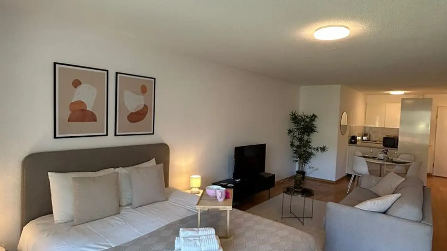 Furnished apartment for rent - Neugasse 83, 8005 Zürich