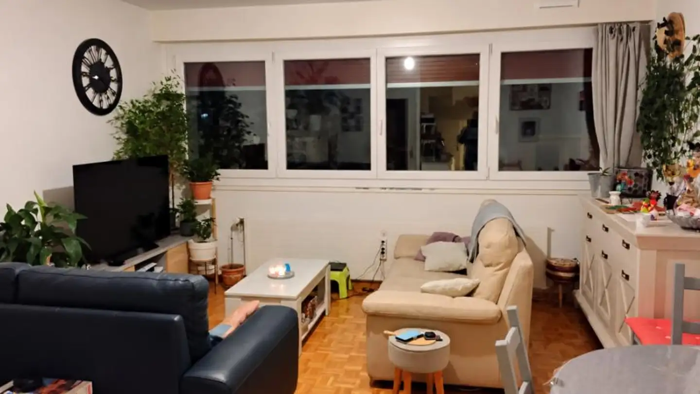 Apartment for rent - Rue Caroline 16, 1227 Les Acacias