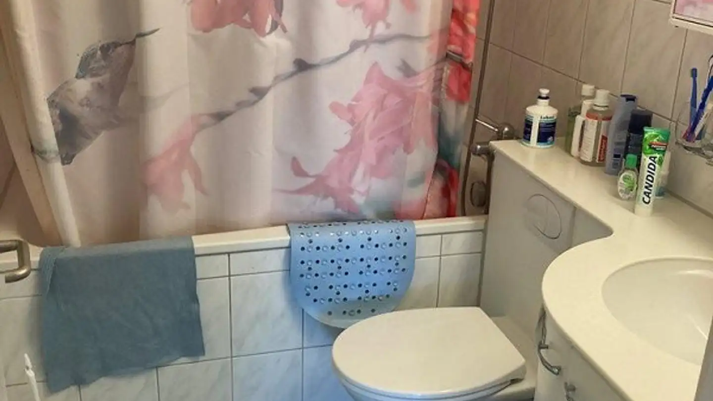 Appartement à louer - Zürichstrasse 246, 8122 Binz - Photo 4