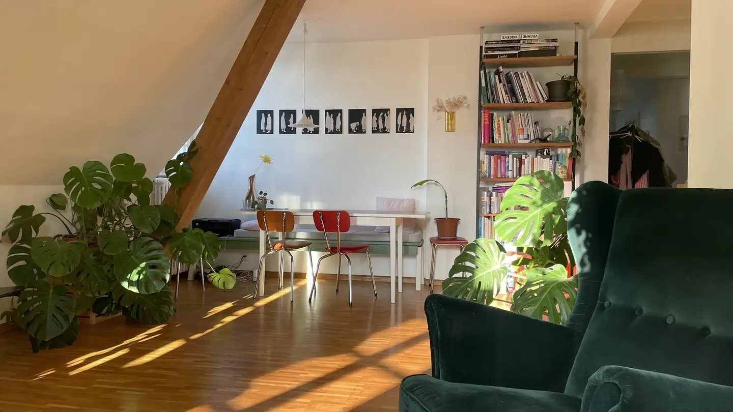 Chambre à louer - 4058 Basel