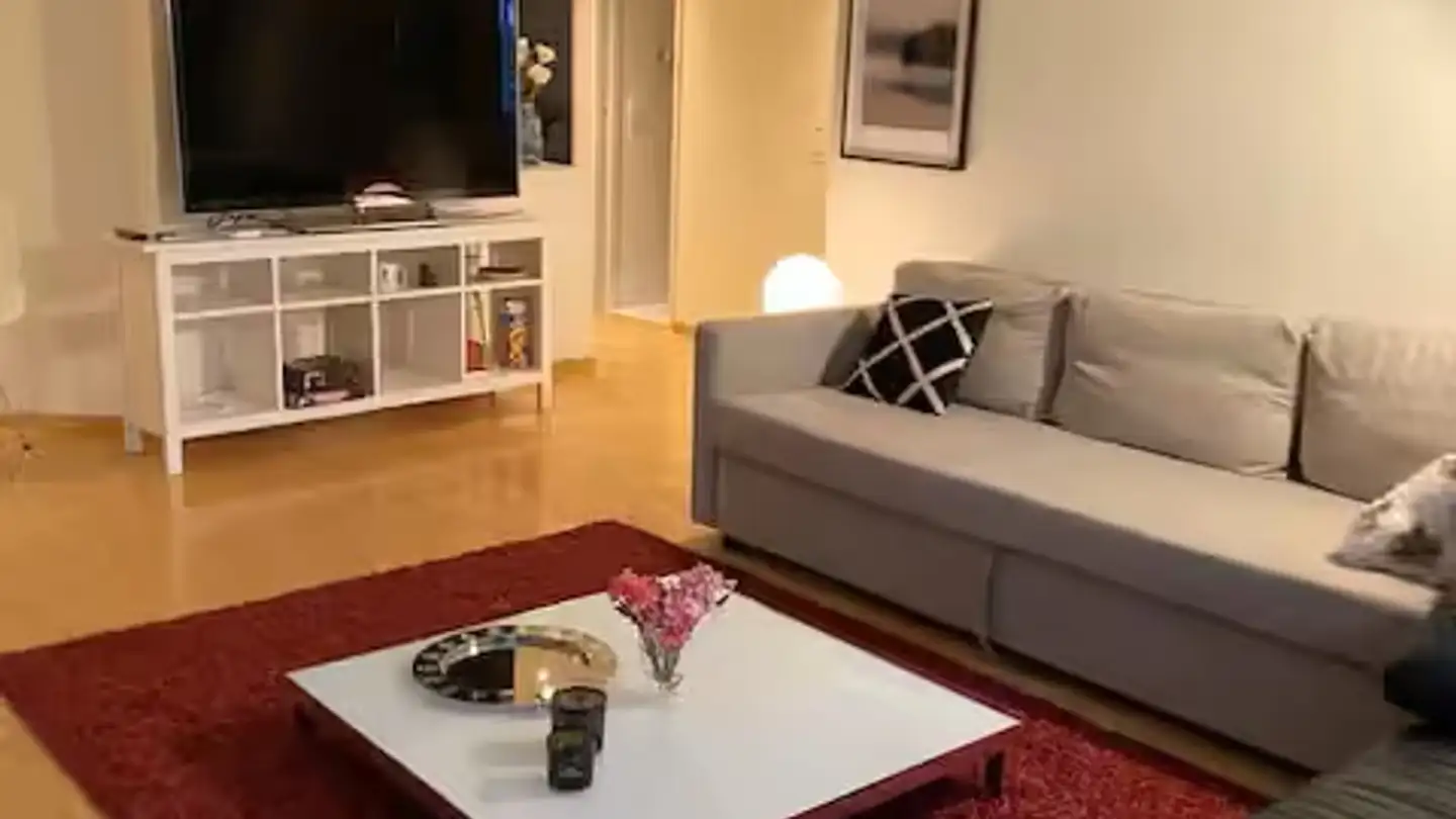 Möblierte Wohnung mieten - 6300 Zug - Foto 3