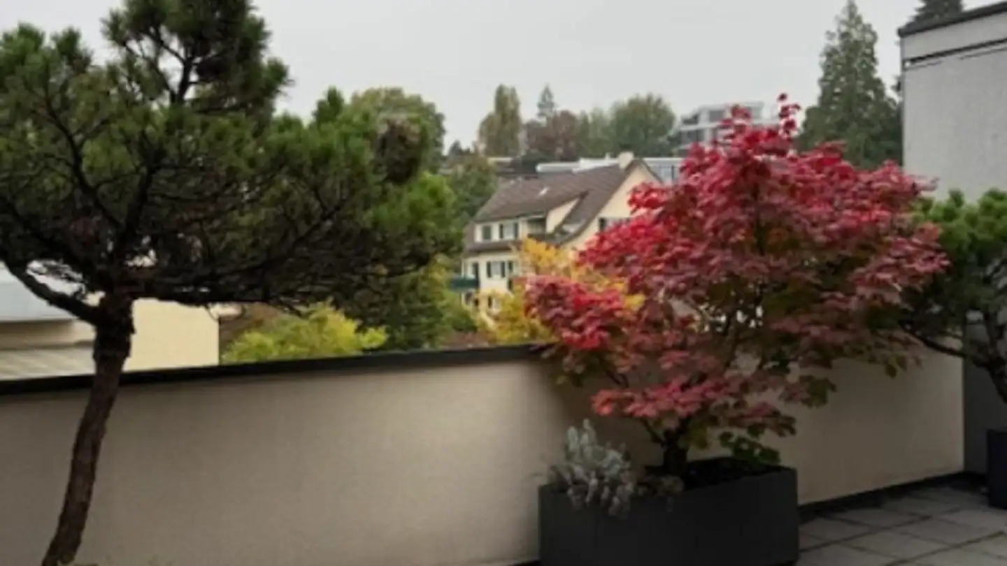 Appartamento in affitto - Haumesserstrasse 27, 8038 Zürich