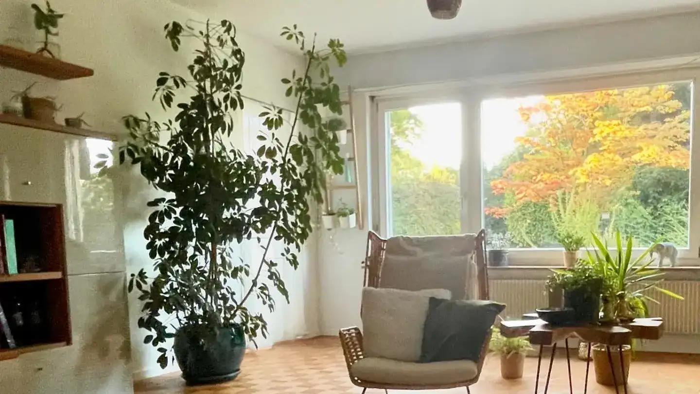 Chambre à louer - Gründenstrasse, 8200 Schaffhausen