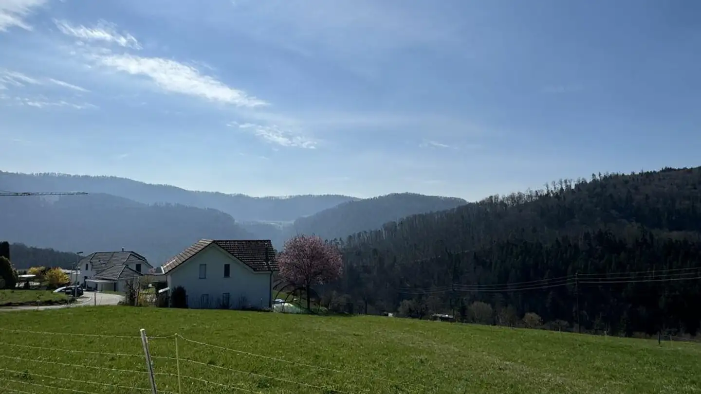 Bauland kaufen - 4254 Liesberg Dorf