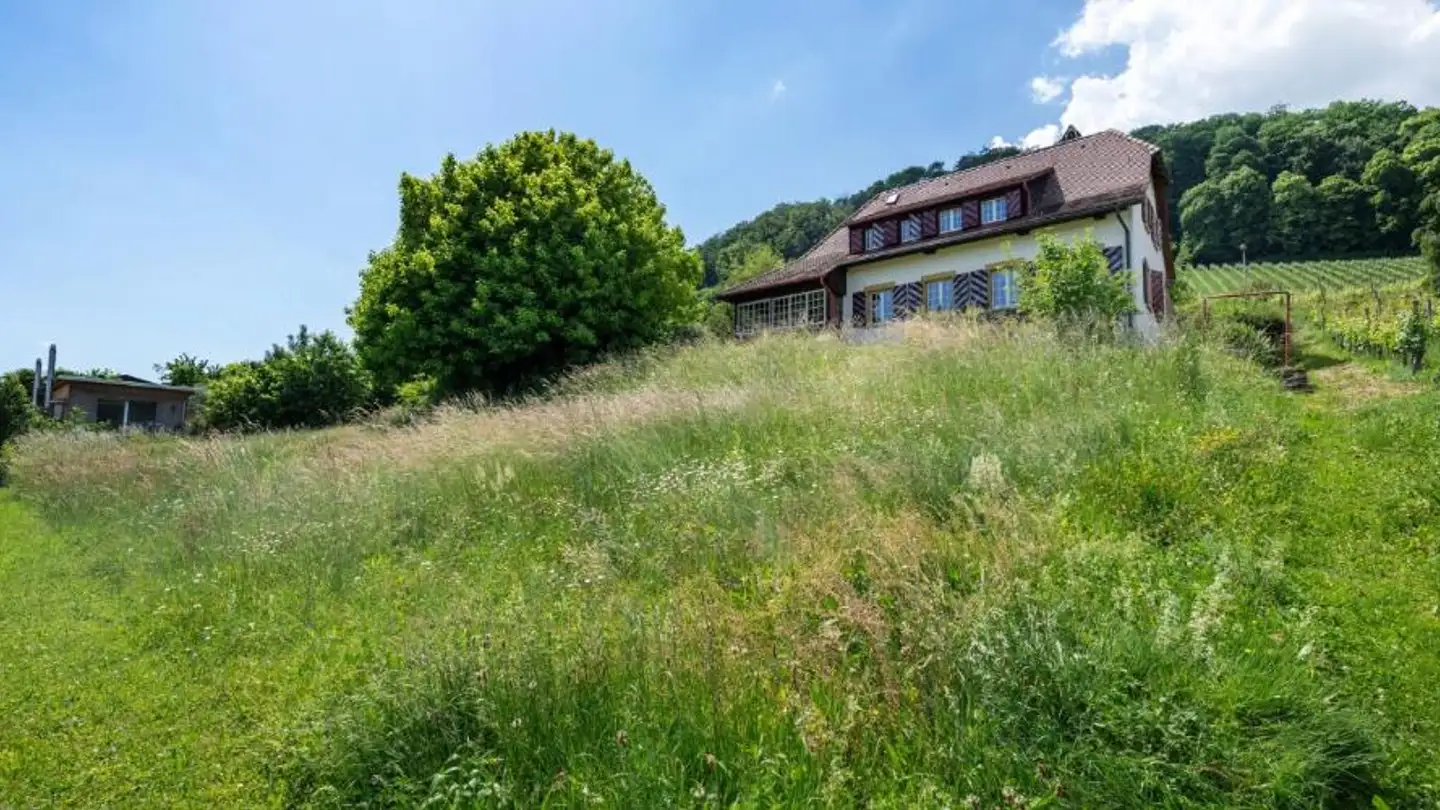 Einfamilienhaus kaufen - Rebenweg 15, 3235 Erlach - Foto 4