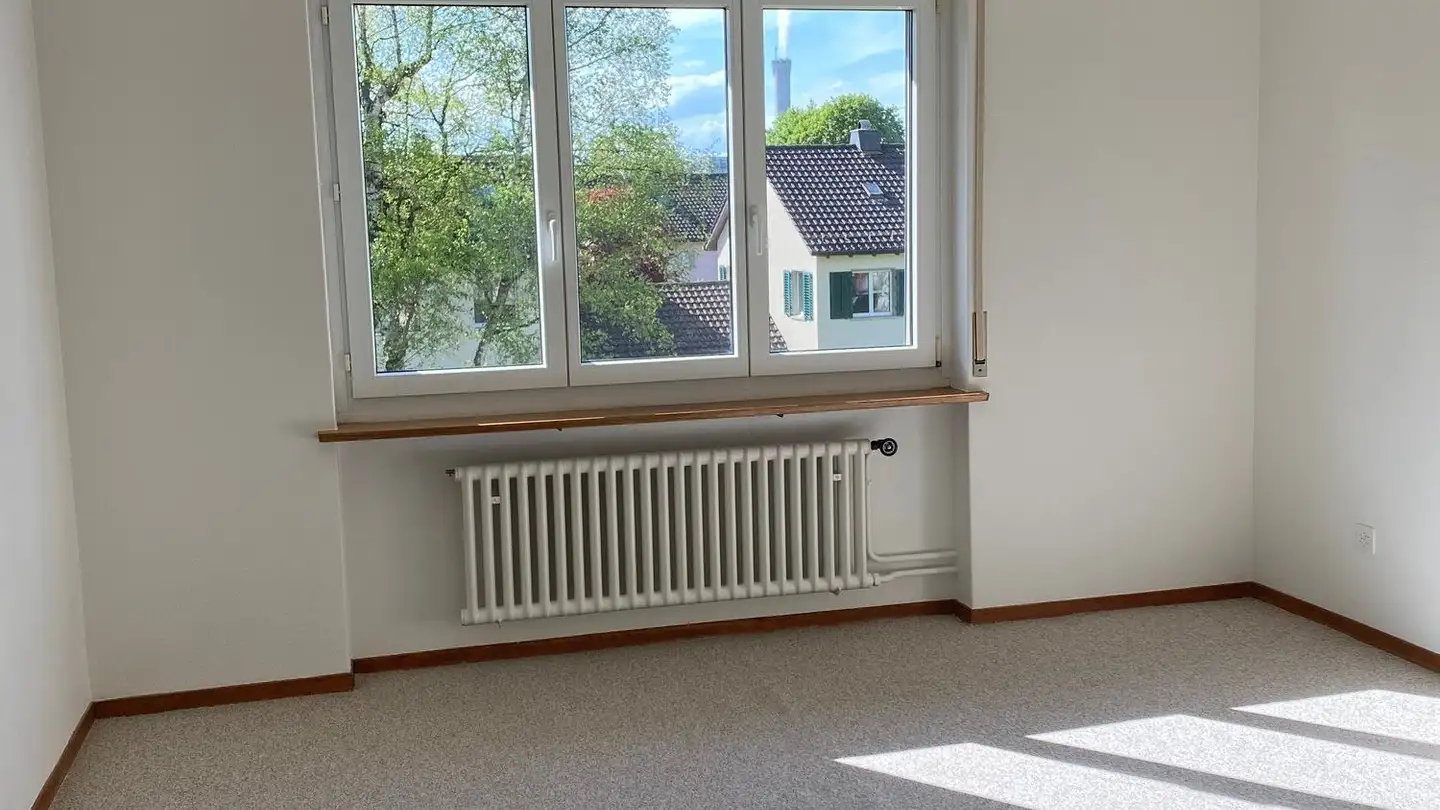 Appartamento in affitto - Luegislandstrasse, 8051 Zürich - Foto 2