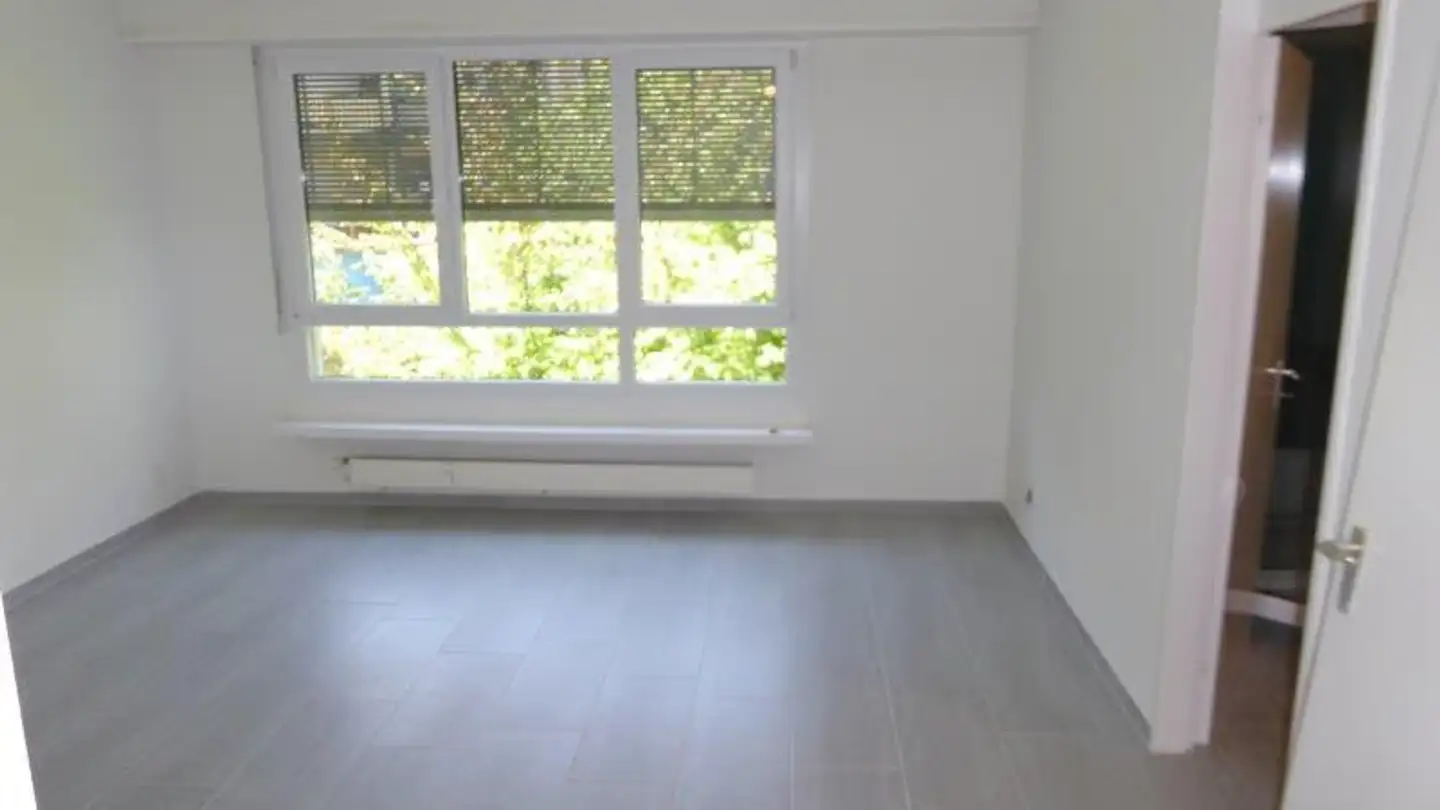 Appartamento in affitto - Reinacherstrasse 66, 4053 Basel