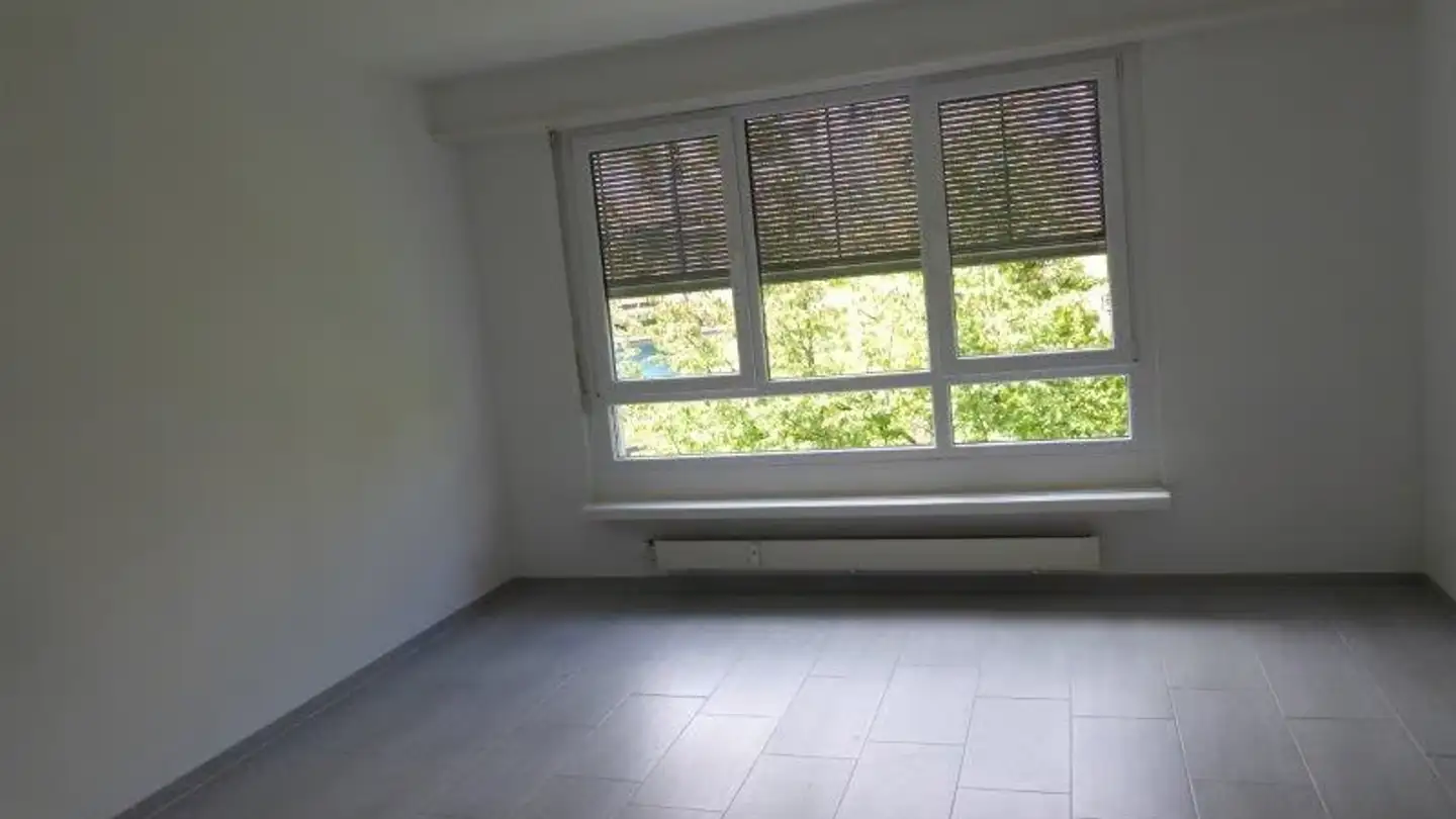 Appartamento in affitto - Reinacherstrasse 66, 4053 Basel - Foto 2