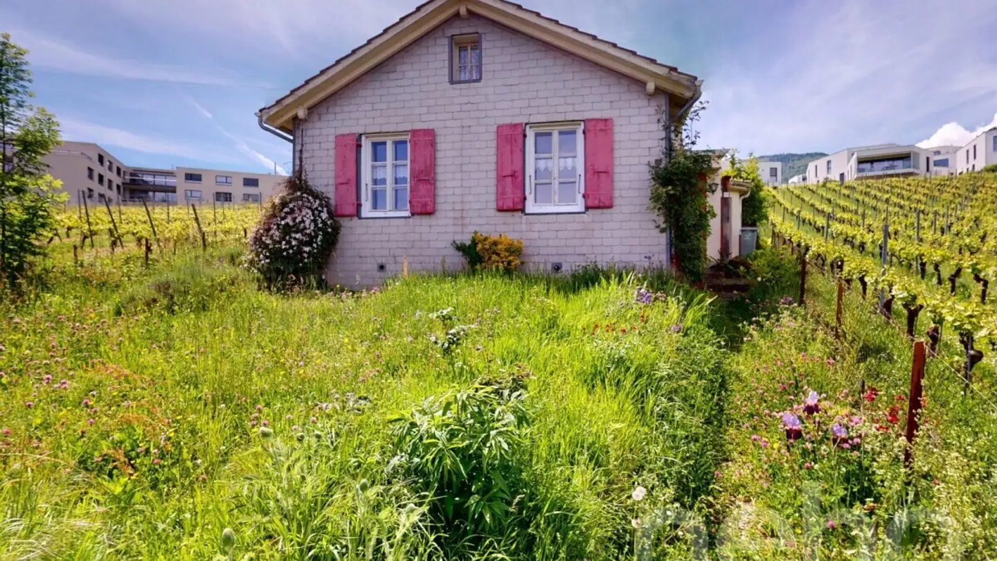 Casa singola in vendita - 2017 Boudry