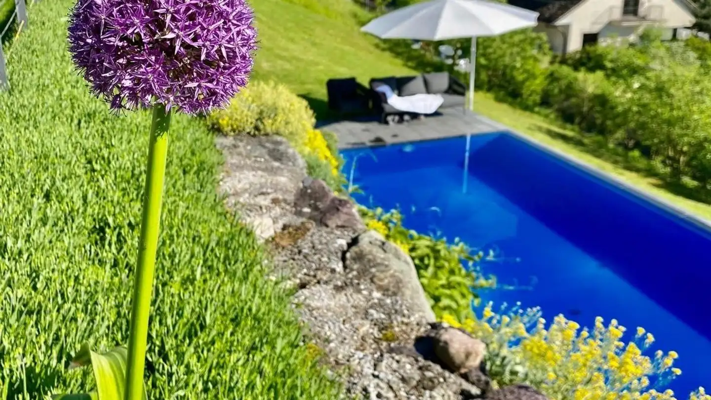 Duplex in affitto - Wängirain 44, 8704 Herrliberg - Foto 4