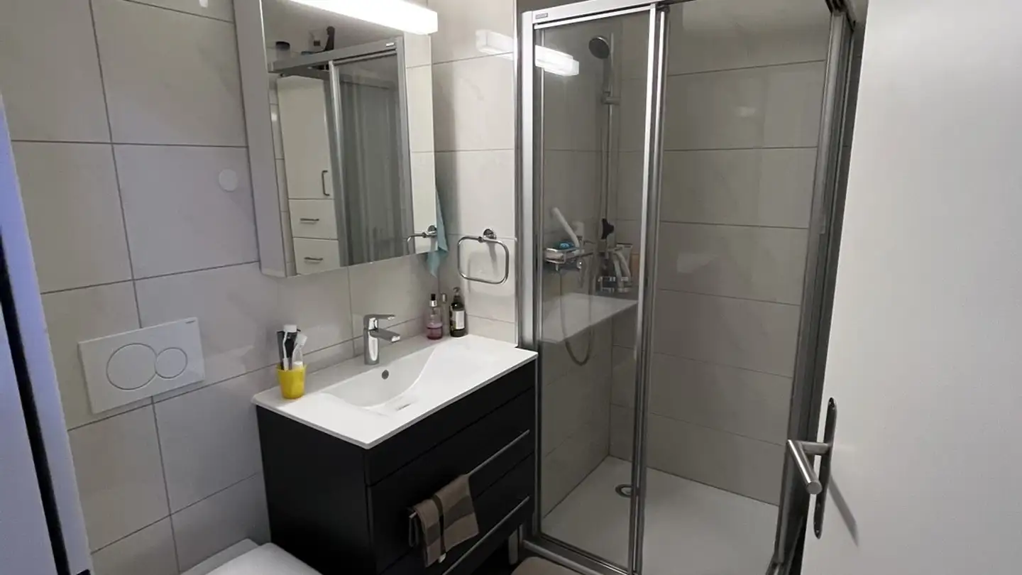 Apartment for rent - 8052 Zürich - Photo 3