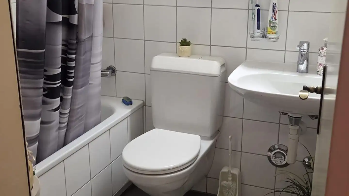Appartement à louer - Langwiesenstrasse 14, 8114 Dänikon ZH - Photo 2