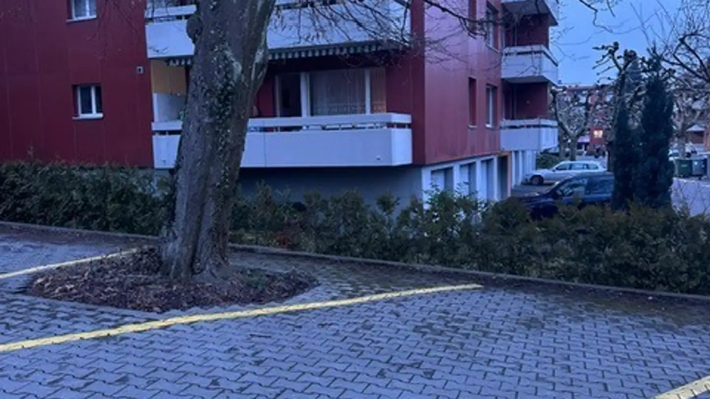 Outdoor parking space for rent - In Reben, 8800 Thalwil - Photo 3