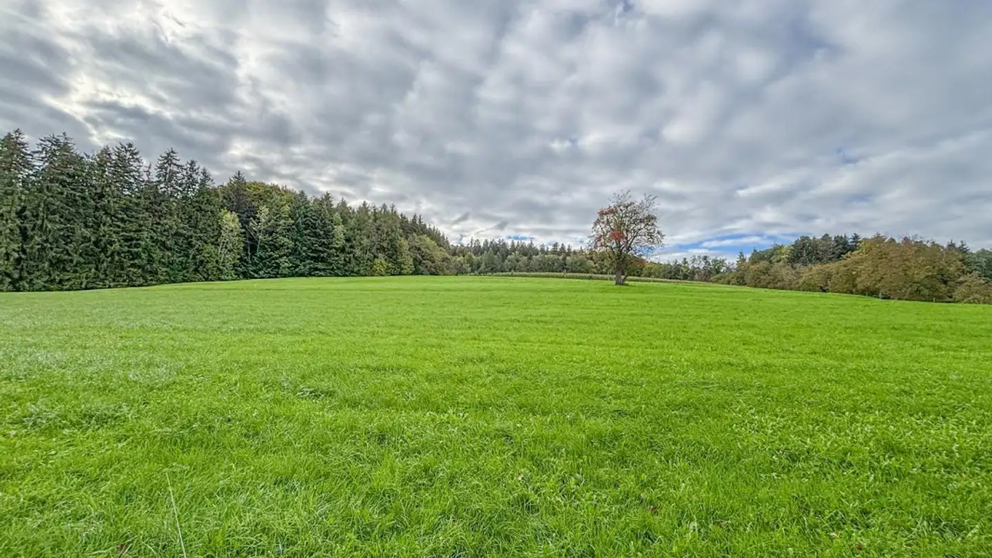 Maison individuelle à vendre - Erlackerstrasse 57, 9300 Wittenbach - Photo 4