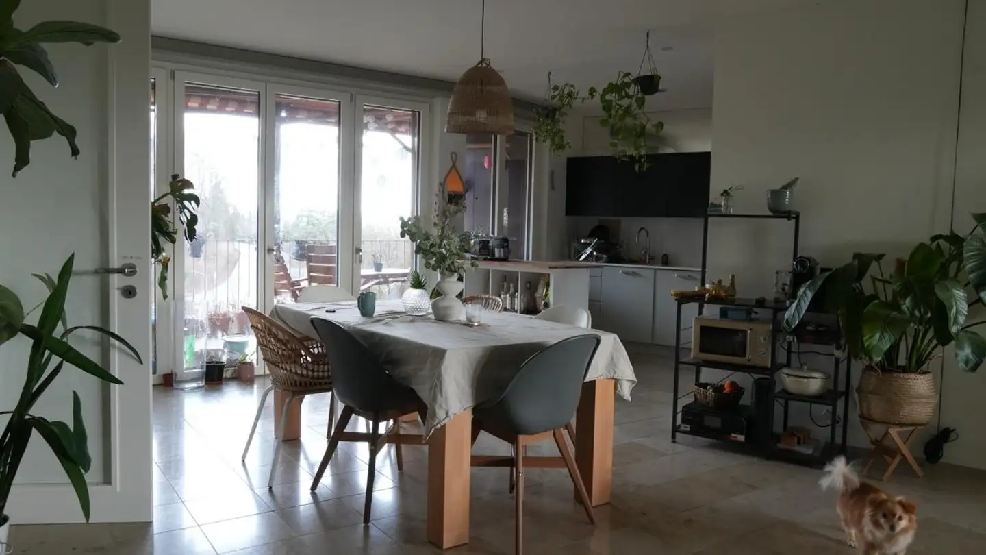 Stanza singola in affitto - Käferholzstrasse 54, 8057 Zürich - Foto 3