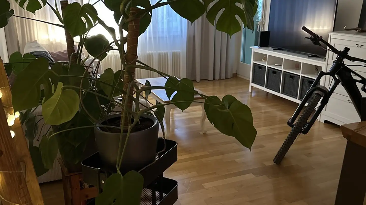 Appartamento in affitto - 8154 Oberglatt ZH