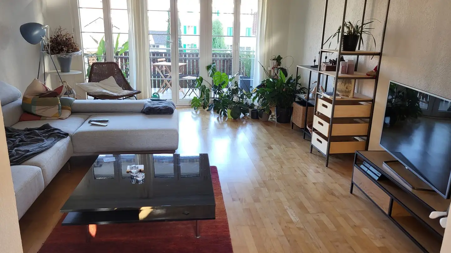 Apartment for rent - 8953 Dietikon