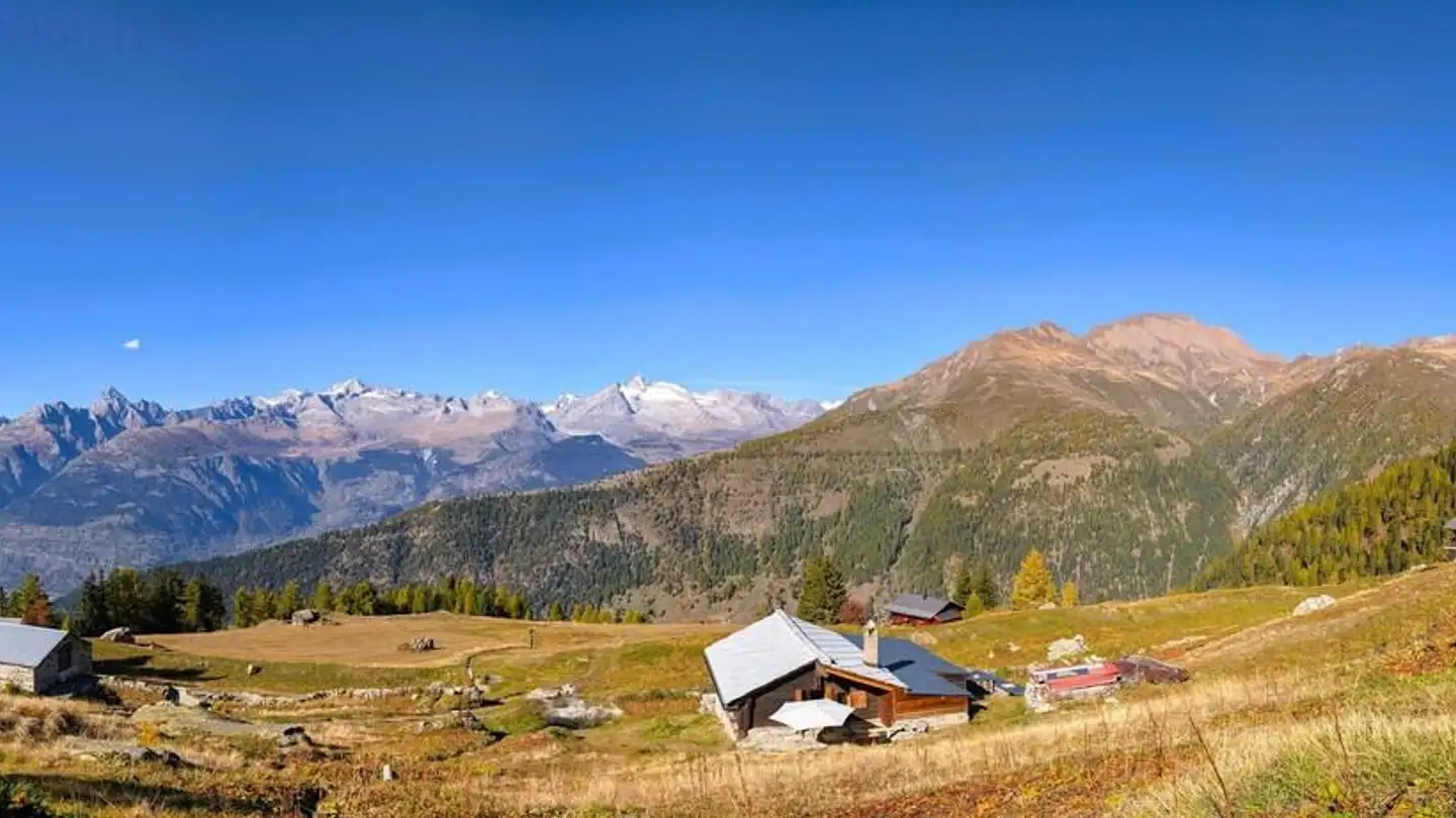 Single house for sale - 3901 Rothwald - Photo 2