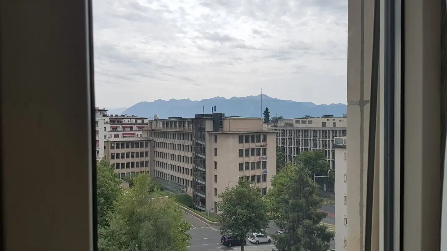 Chambre à louer - Chemin Des Trois-Rois, 1005 Lausanne - Photo 4