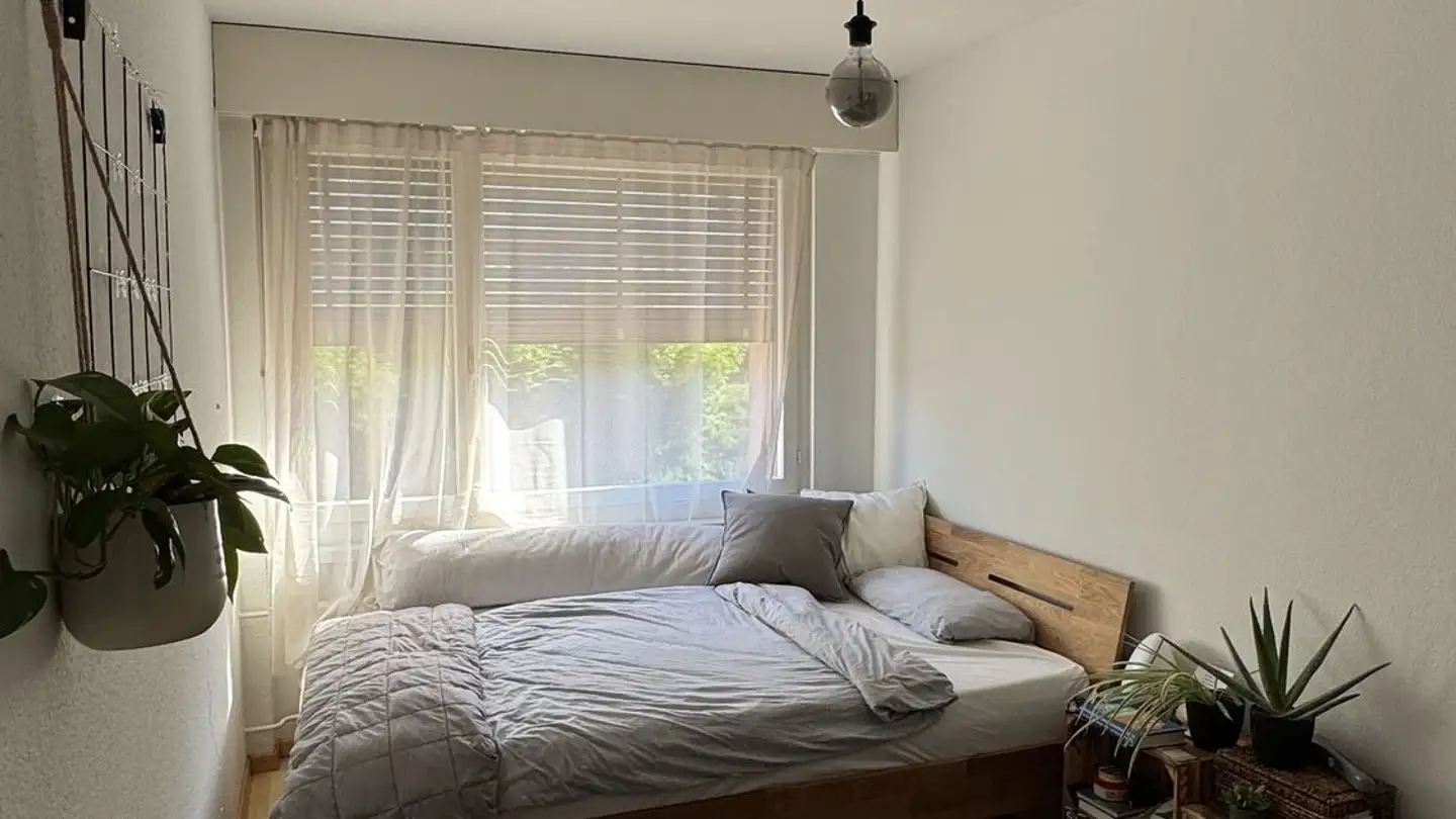 Chambre à louer - 8049 Zürich