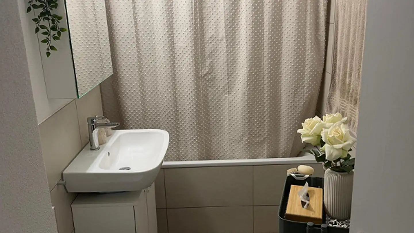 Appartamento in affitto - Wellhauserweg 29c, 8500 Frauenfeld - Foto 4