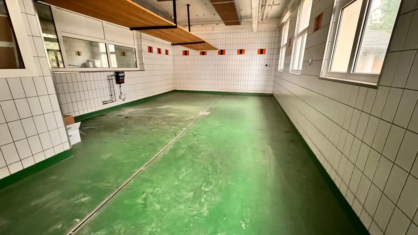 Commerciale in affitto - Badenerstrasse 4, 8104 Weiningen ZH - Photo 3