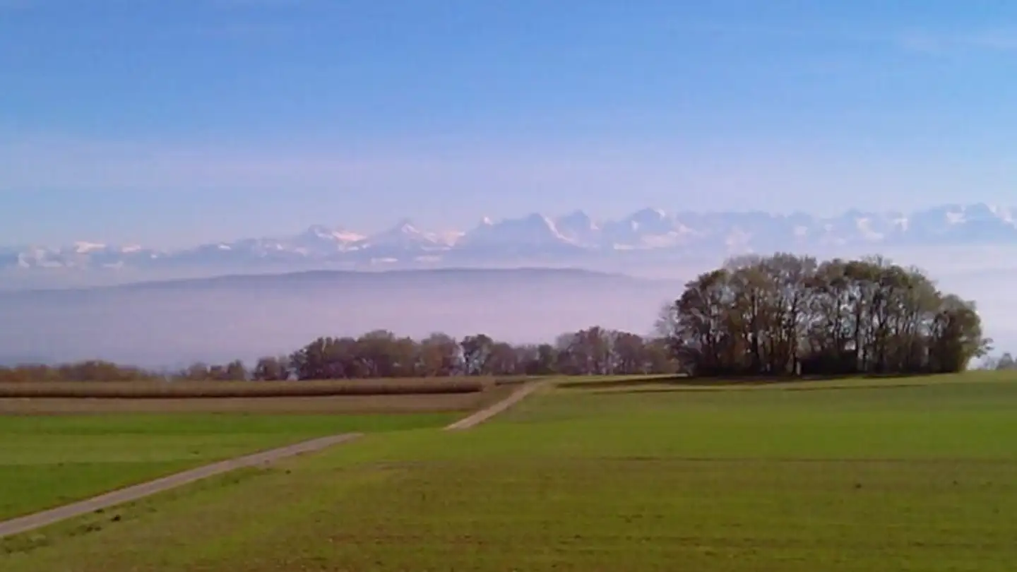 Single house for sale - Champ Favre 11, 2515 Prêles - Photo 4