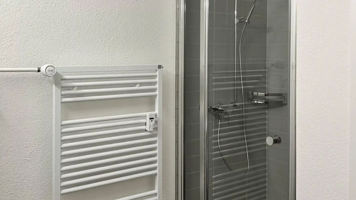 Appartamento a gradini in affitto - Tödistrasse 106, 8800 Thalwil - Photo 4