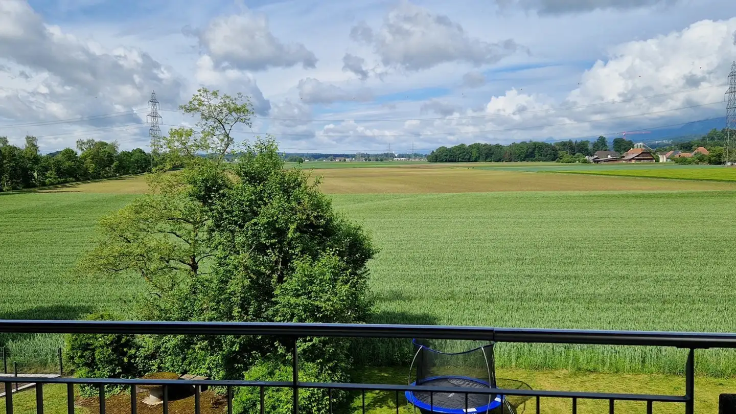Appartement à louer - Finkenweg 10, 3380 Wangen an der Aare - Photo 2