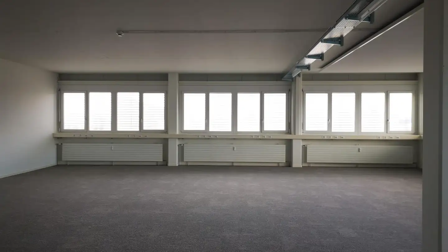 Commercial for rent - Sternenfeldstrasse 14, 4127 Birsfelden - Photo 2