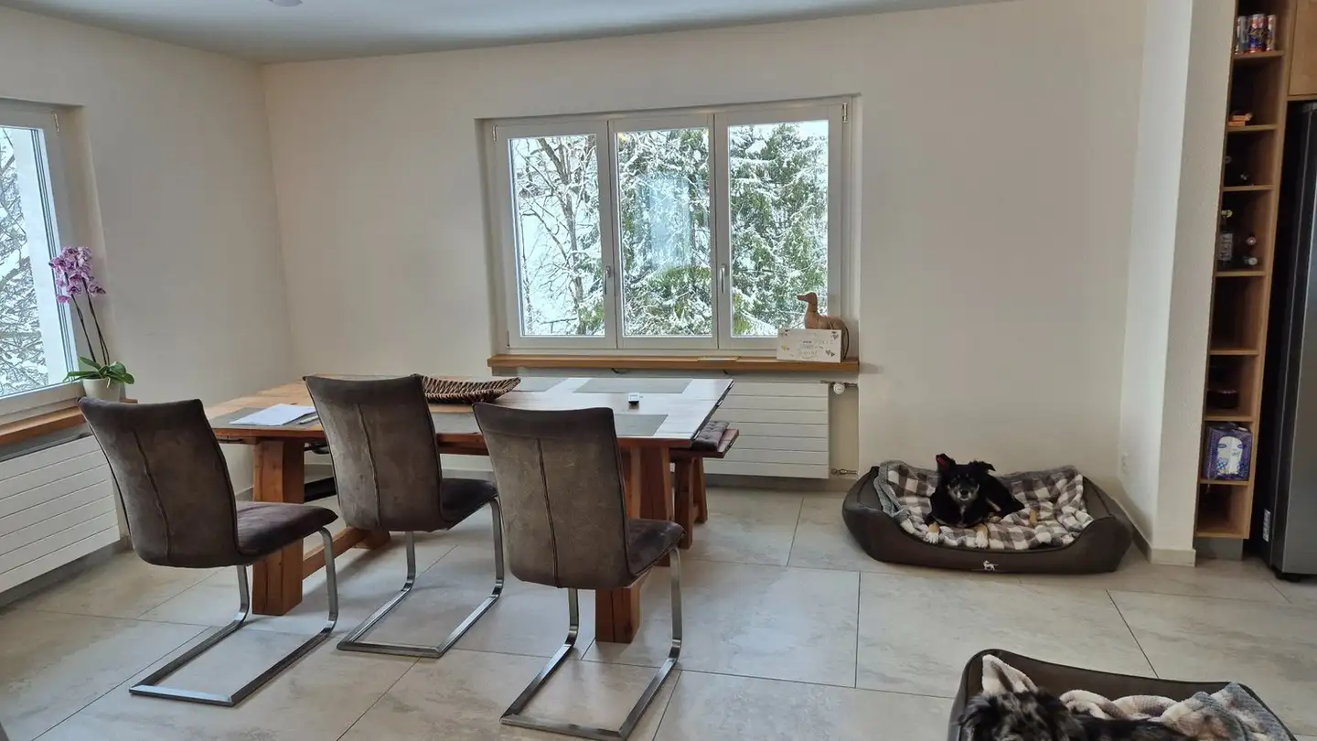 Casa singola in affitto - 5732 Zetzwil - Foto 2