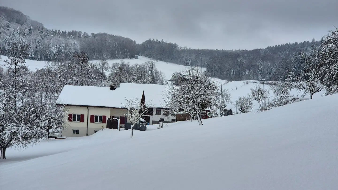 Casa singola in affitto - 5732 Zetzwil