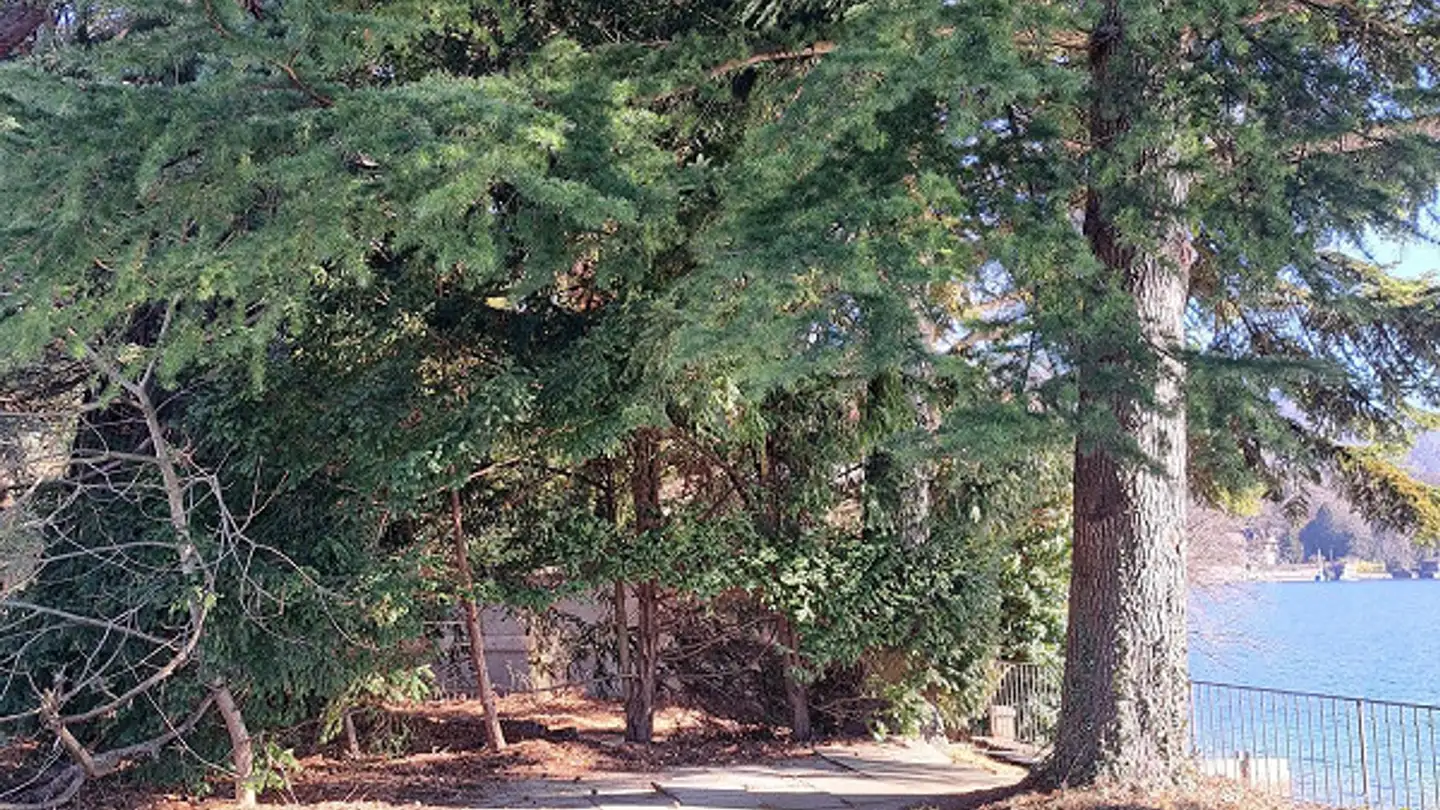 Chalet à louer - Staatsstrasse, 3626 Hünibach - Photo 4