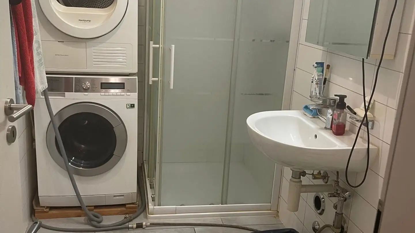 Appartamento in affitto - Rue Du Villars 32, 1024 Ecublens VD