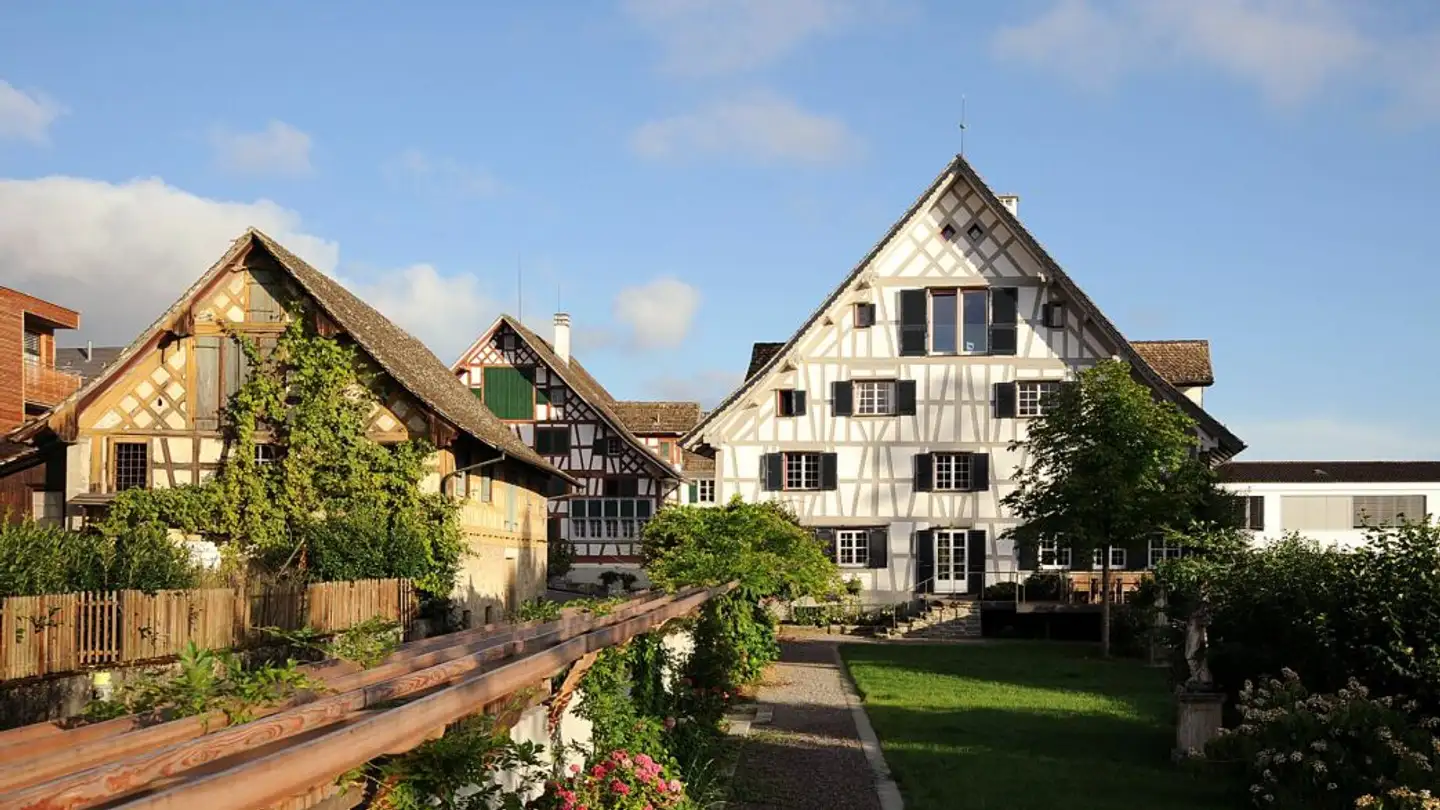 Maison individuelle à vendre - 8820 Wädenswil