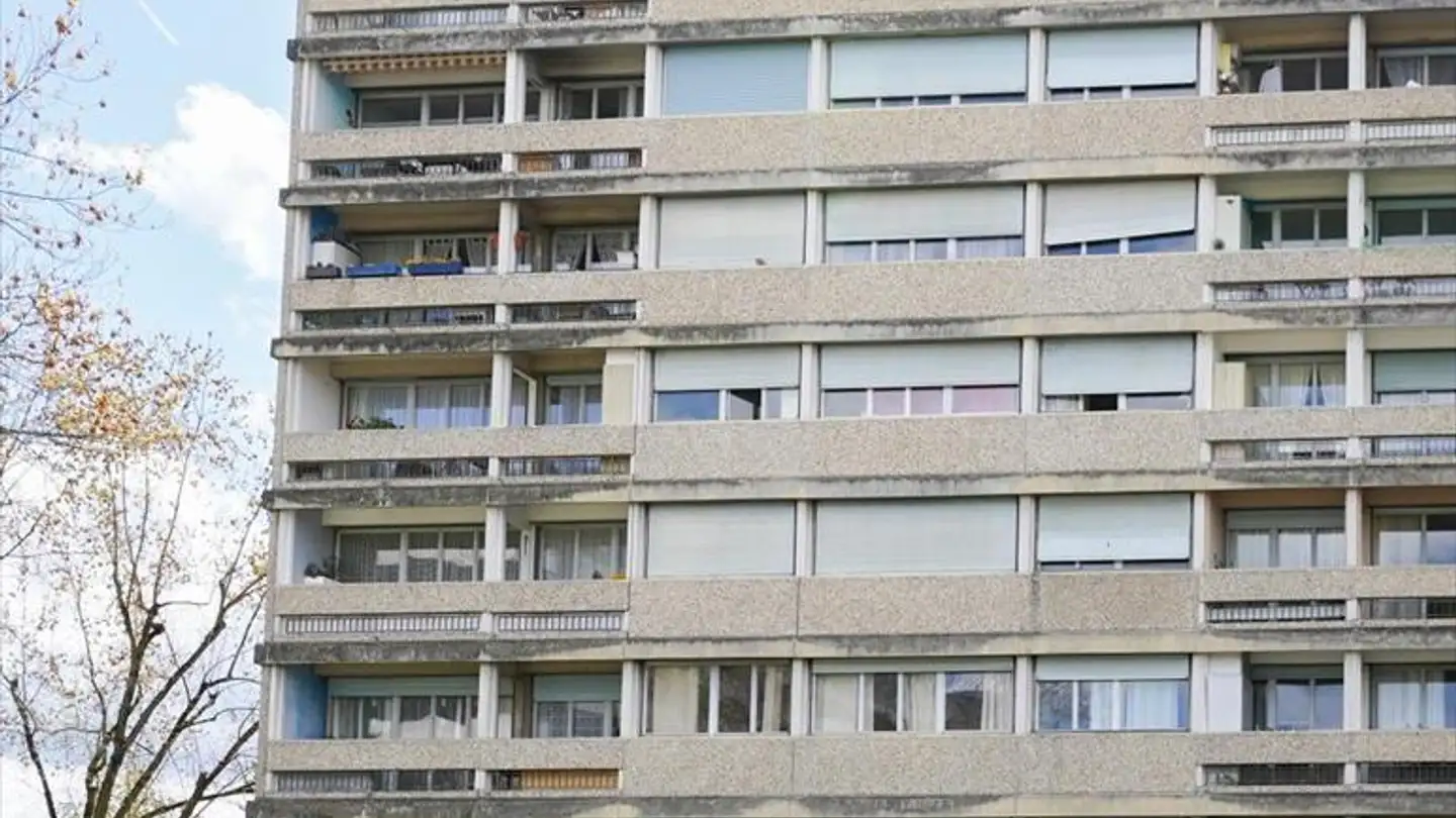 Appartement à louer - Rue Du Vieux-Moulin 1, 1213 Onex