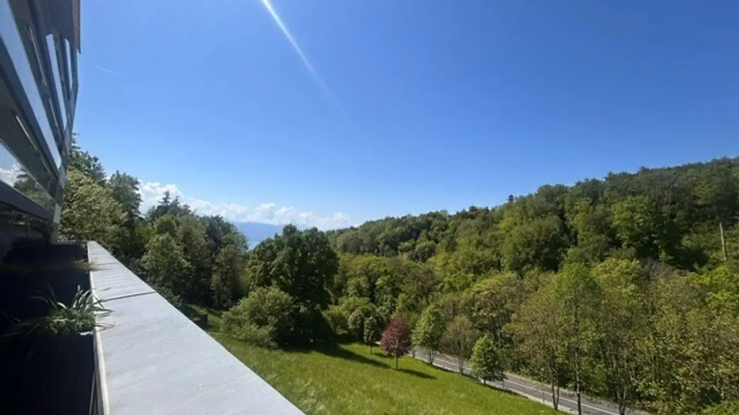 Appartamento in affitto - Route Du Burenoz 47, 1092 Belmont-sur-Lausanne