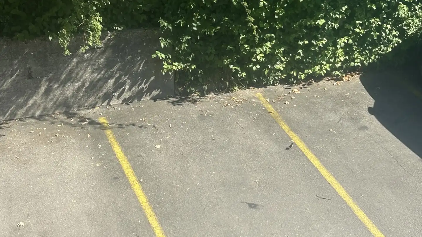 Place de parking extérieure à louer - 8134 Adliswil