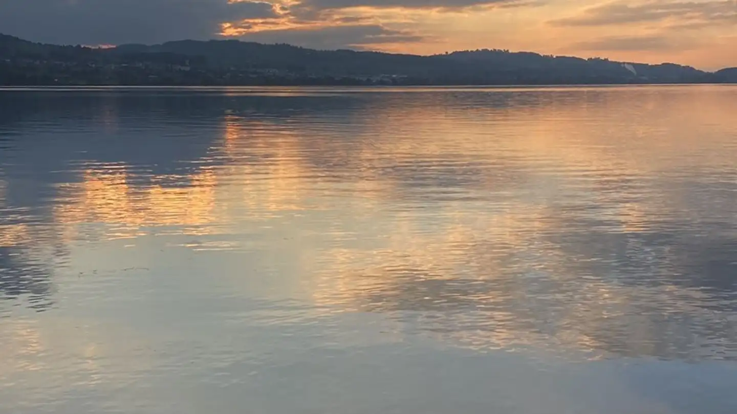 Stanza singola in affitto - Gerbegass 2, 6204 Sempach - Photo 4