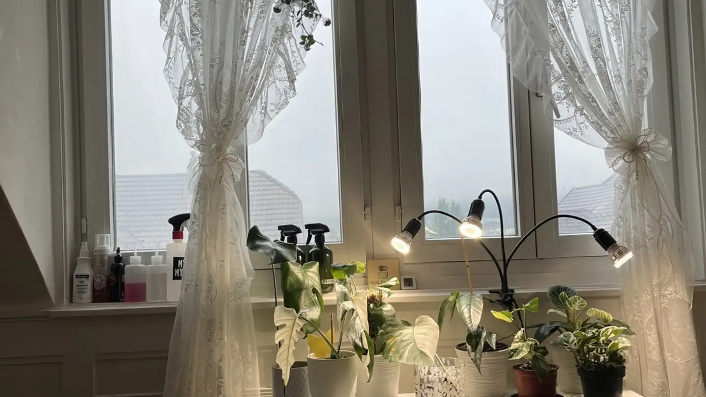 Zimmer mieten - 9008 St. Gallen - Foto 3