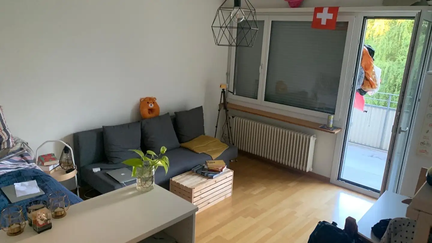 Appartement à louer - 8055 Zürich
