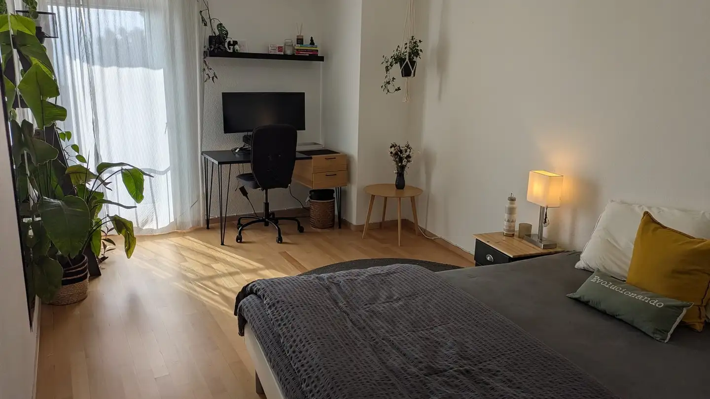 Stanza singola in affitto - 8049 Zürich - Foto 2