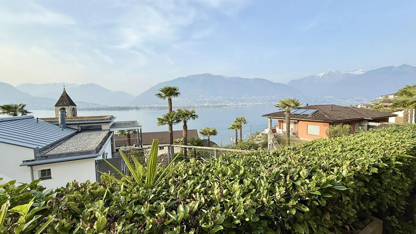 Mehrfamilienhaus kaufen - 6575 S. Nazzaro